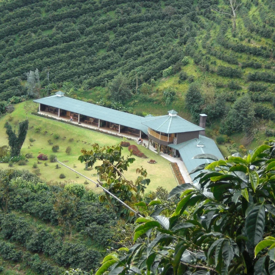 Coffee Culture